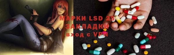 гидра Елизово