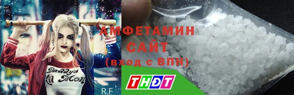 гидра Елизово