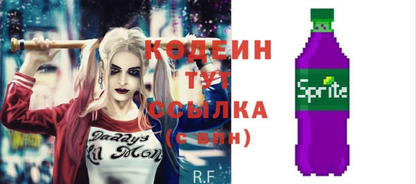 гидра Елизово