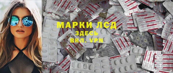 стафф Елабуга