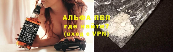 гидра Елизово