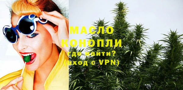 гидра Елизово