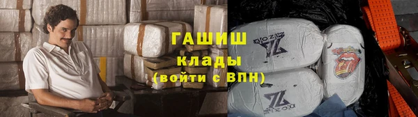гидра Елизово