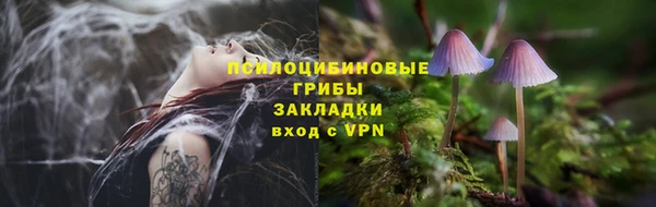 мдма Ельня