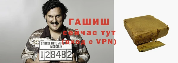гидра Елизово