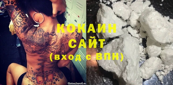 гидра Елизово