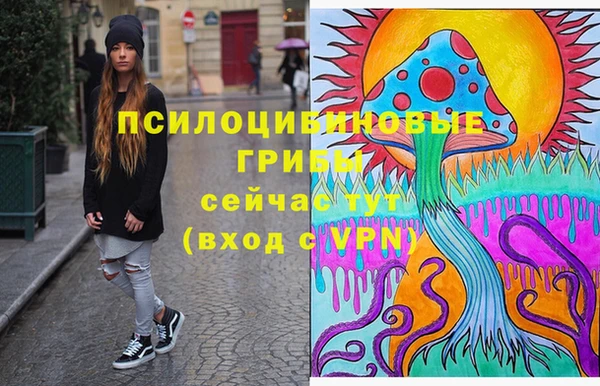 стафф Елабуга