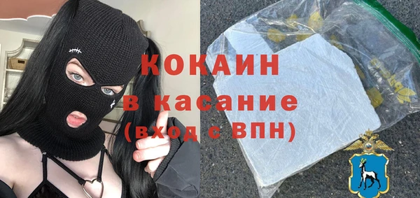 гидра Елизово