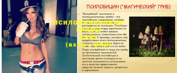 мдма Ельня