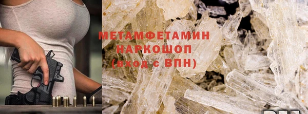 гидра Елизово