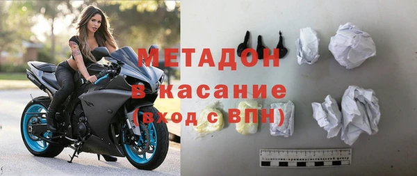 гидра Елизово