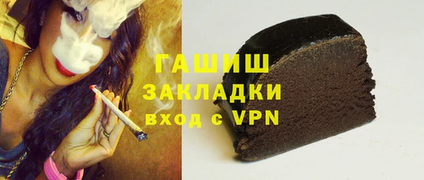 гидра Елизово